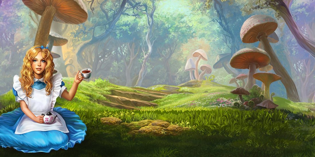 Explore a World of Fun 